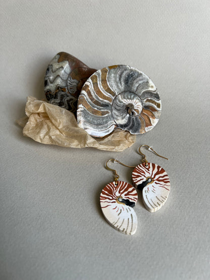 Boucles d’oreilles Nautile