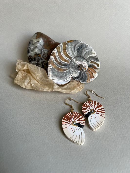 Boucles d’oreilles Nautile