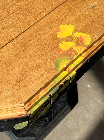 Bois brûlé et Gingko