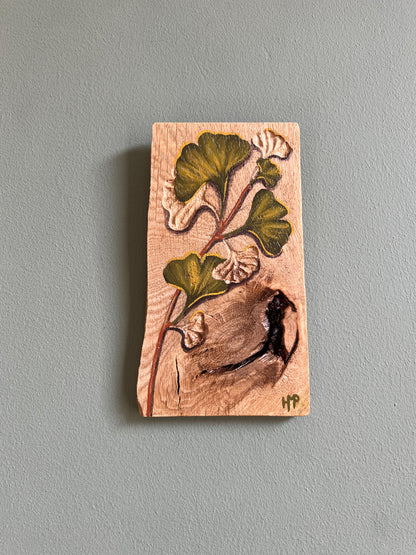 Ginkgo biloba 4