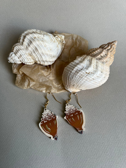 Boucles d’oreilles Strombe