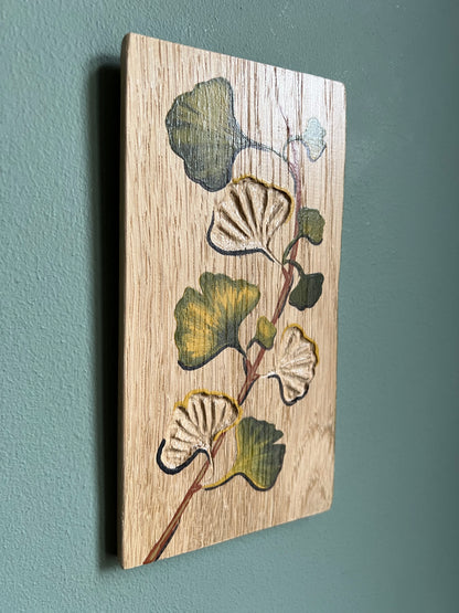 Ginkgo biloba 8