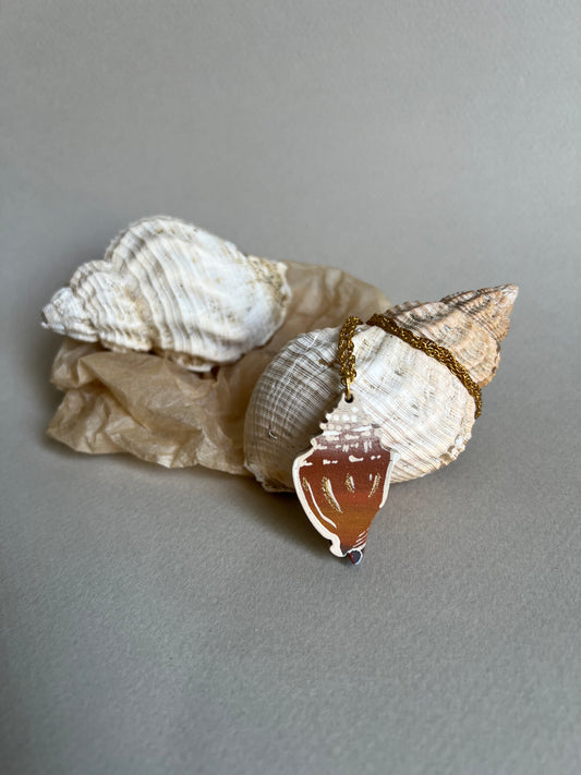 Collier Strombe