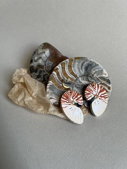 Boucles d’oreilles Nautile