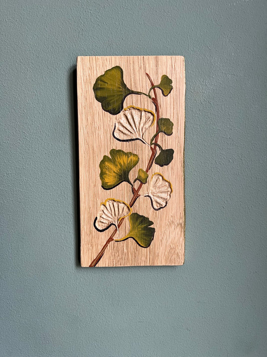 Ginkgo biloba 8