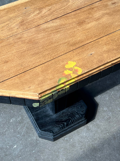 Bois brûlé et Gingko