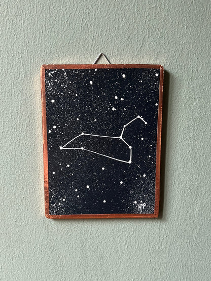 Constellation du Lion