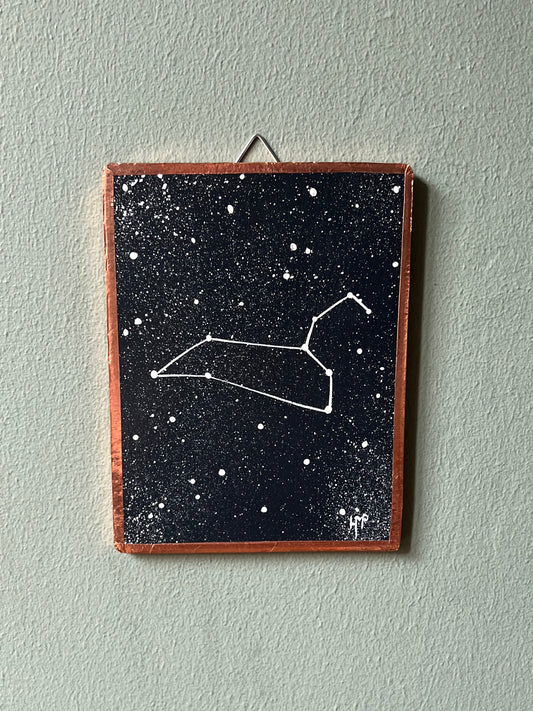 Constellation du Lion