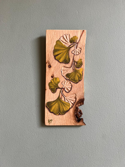 Ginkgo biloba 1